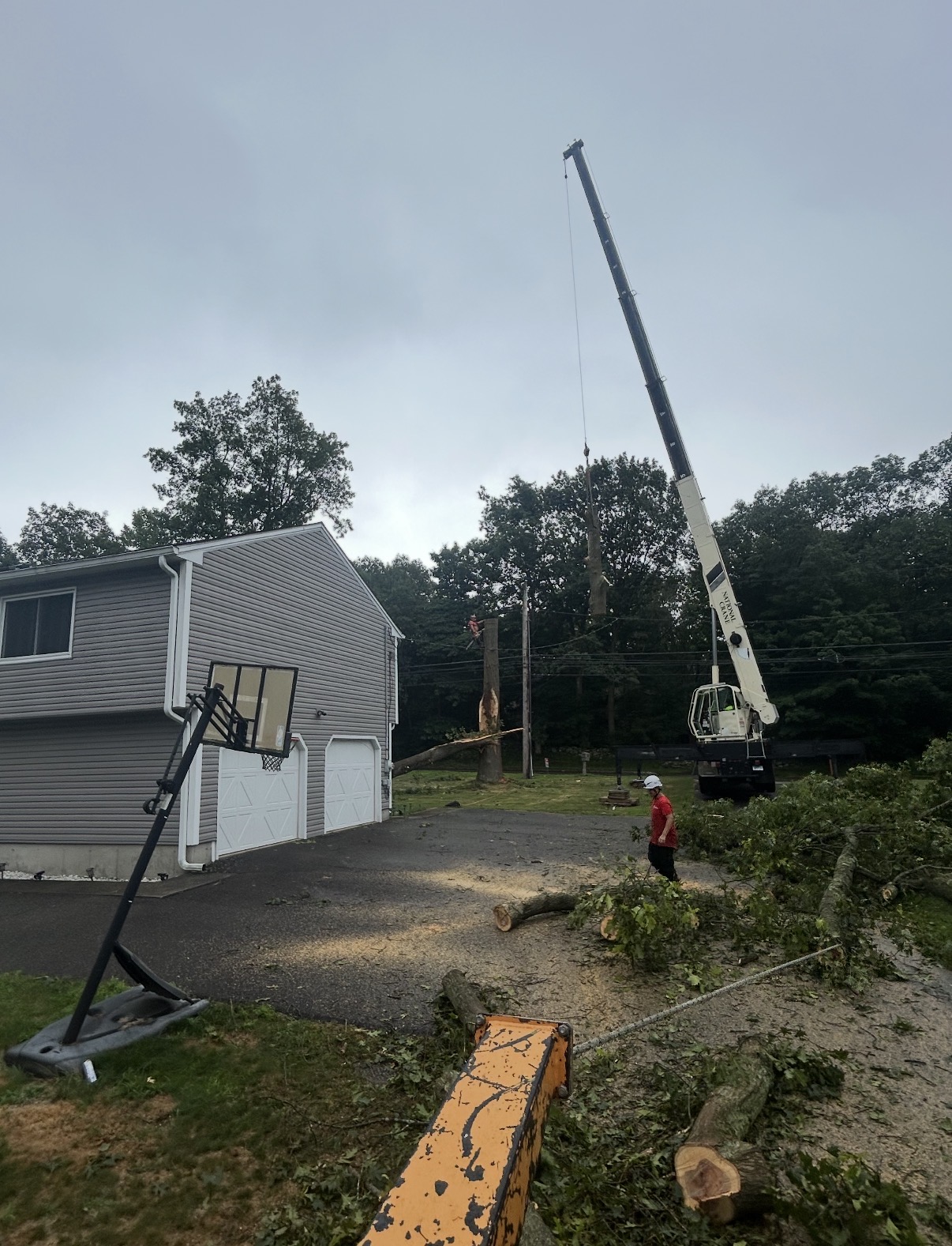 Crane-assisted tree removal in a residential driveway
