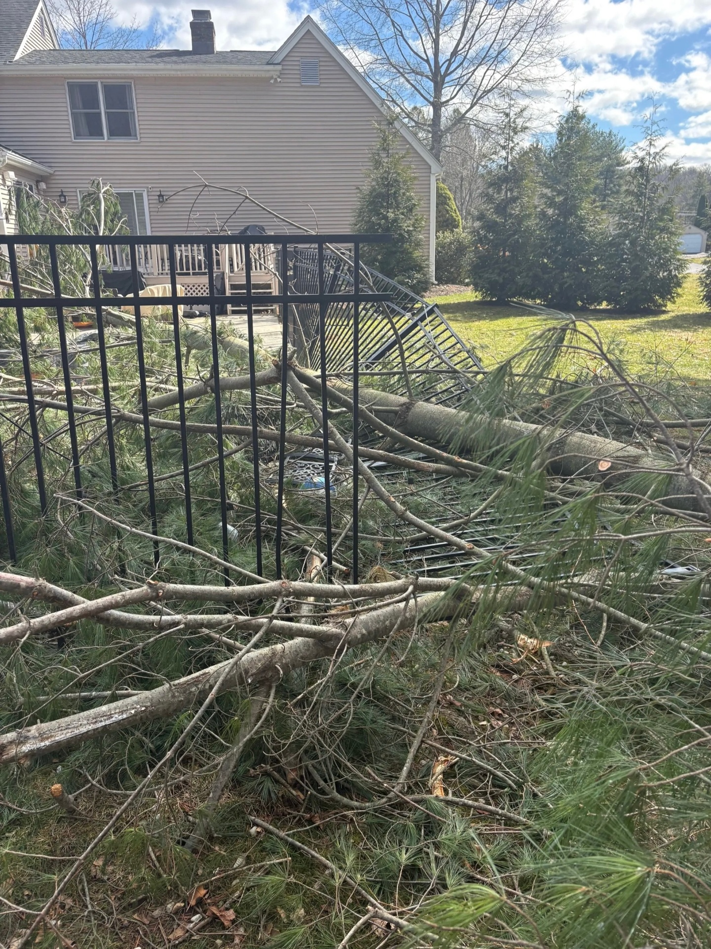 Fallen pine tree crushing an aluminum fence after a storm